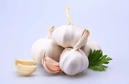 大蒜精副作用