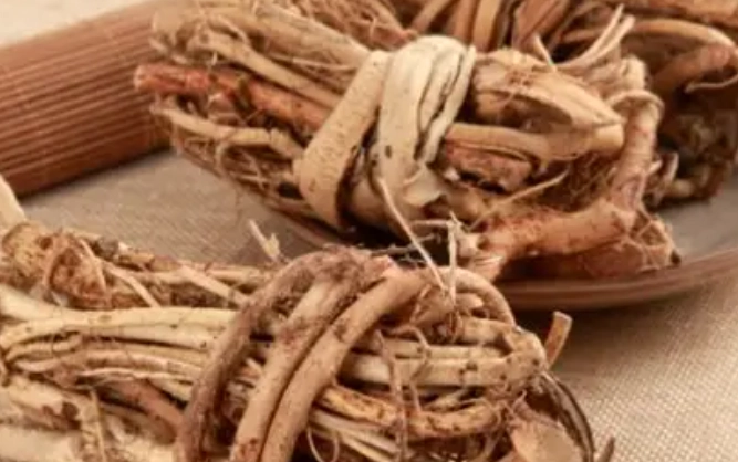 五指毛桃相克食物 五指毛桃相克食物