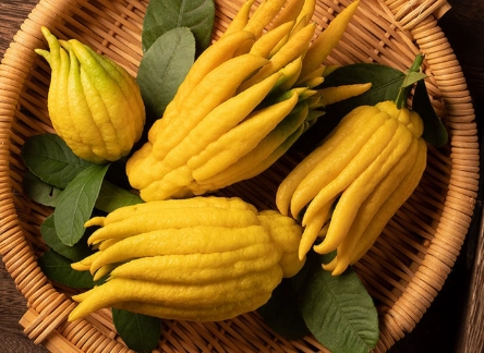 佛手柑茶製作方法 佛手柑茶製作方法