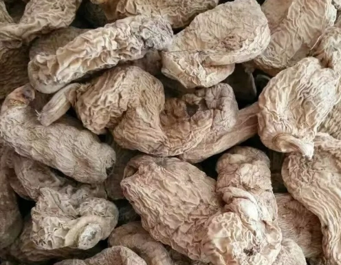 天麻健康益處 天麻健康益處