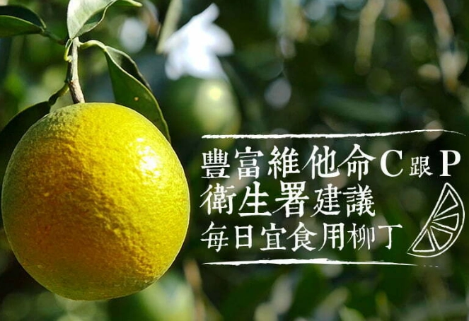 柳丁挑選方法 柳丁挑選方法