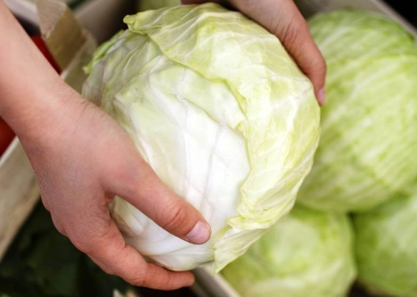 高麗菜炒甜技巧