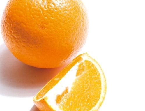 柳丁產期 柳丁產期