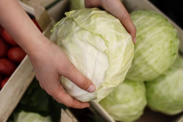 如何挑選高麗菜