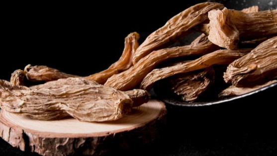 天麻素副作用 天麻素副作用