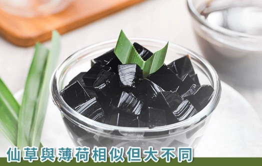 仙草凍熱量 仙草凍熱量