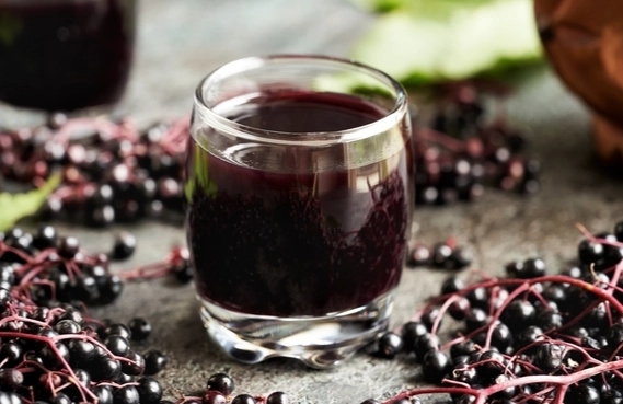 接骨木莓注意事項 接骨木莓注意事項