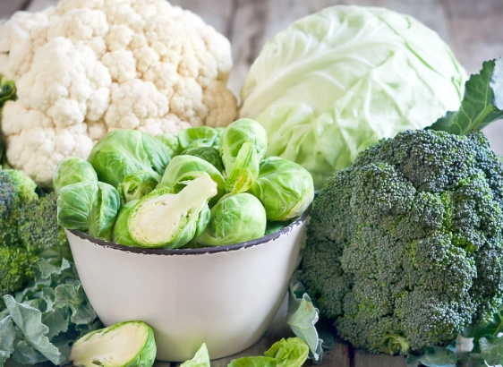 椰菜好處 椰菜好處