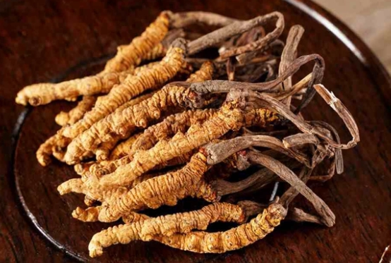 虫草吃法 虫草吃法