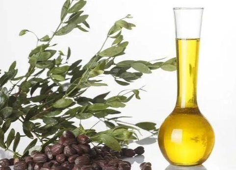 荷荷芭油怎麼用