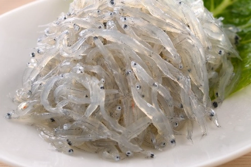 吻仔魚營養價值 吻仔魚營養價值