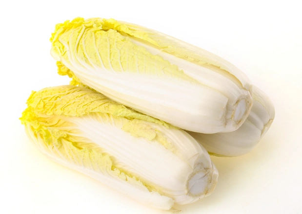 娃娃菜營養 娃娃菜營養