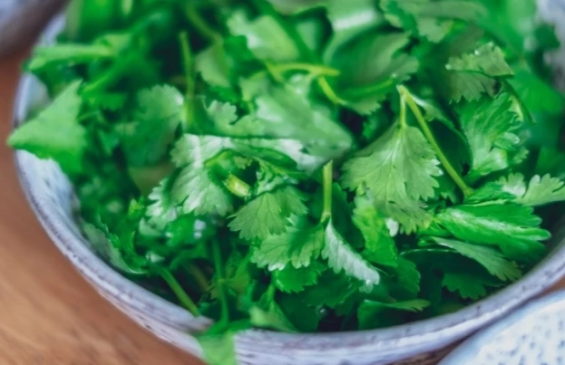 芫茜水副作用 芫茜水副作用