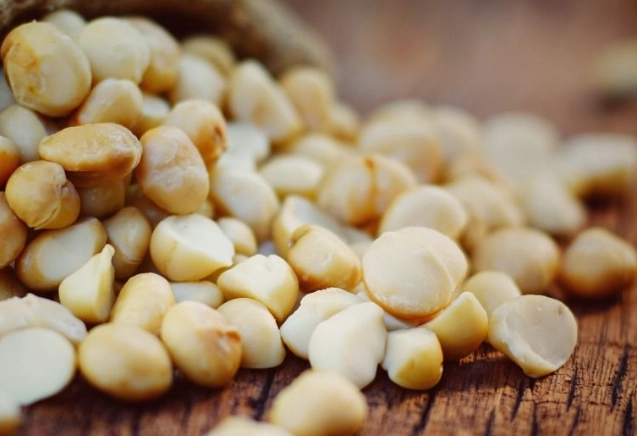 夏威夷豆健康益處