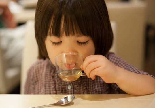 廿四味配方 廿四味配方