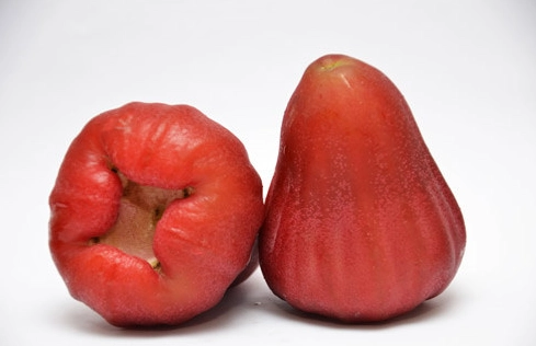 蓮霧食用禁忌 蓮霧食用禁忌