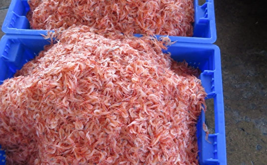 櫻花蝦不能和什麼一起吃