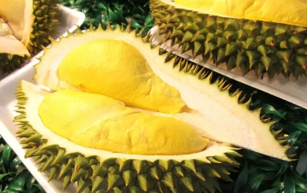 榴槤可以每天吃嗎