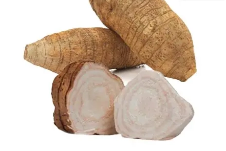 粉葛食療 粉葛食療