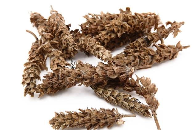 夏枯草羅漢果菊花功效