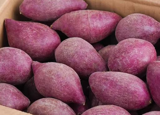 紫薯與地瓜比較