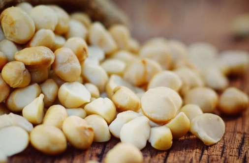 夏威夷豆過量食用 夏威夷豆過量食用