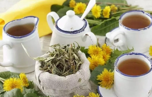 蒲公英茶副作用