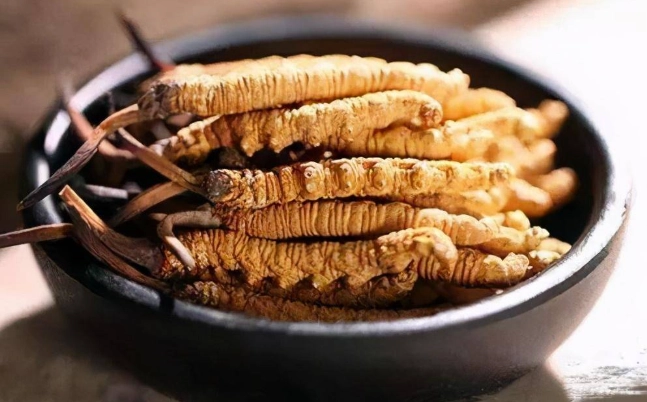 虫草食用方法 虫草食用方法