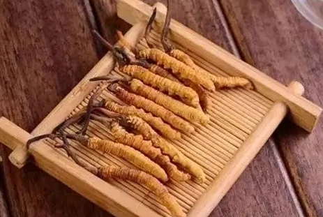 冬蟲夏草雞湯功效 冬蟲夏草雞湯功效