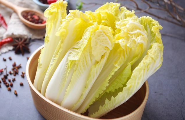 娃娃菜營養 娃娃菜營養