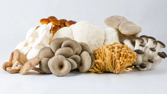 健康菇類選擇