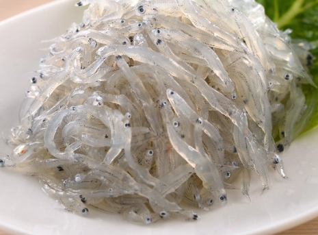 吻仔魚營養 吻仔魚營養