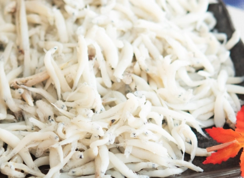 吻仔魚營養 吻仔魚營養