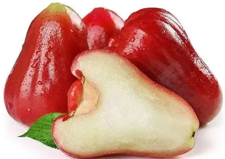 蓮霧每日建議攝取量