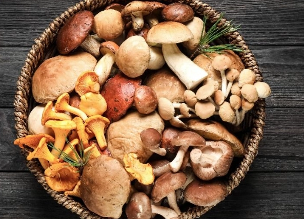 菇類中毒症狀 菇類中毒症狀