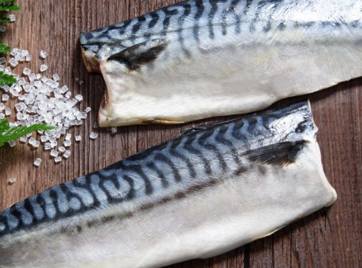 鯖魚蛋白質含量