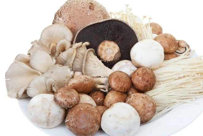菇類營養價值