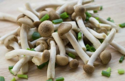 菇類蛋白質含量