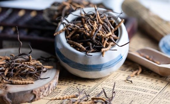 虫草吃法 虫草吃法