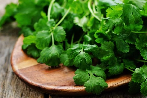 芫茜水副作用 芫茜水副作用