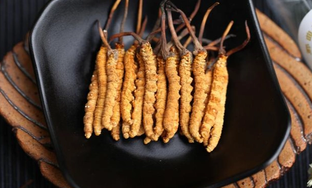 冬蟲夏草食用時間 冬蟲夏草食用時間