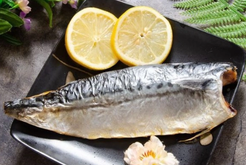 鯖魚蛋白質含量