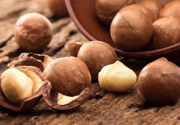 夏威夷果仁功效