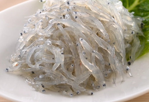 吻仔魚營養價值