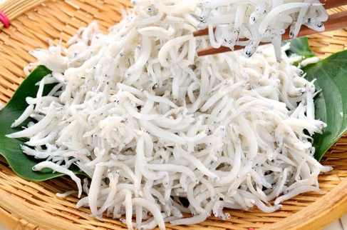 吻仔魚營養 吻仔魚營養