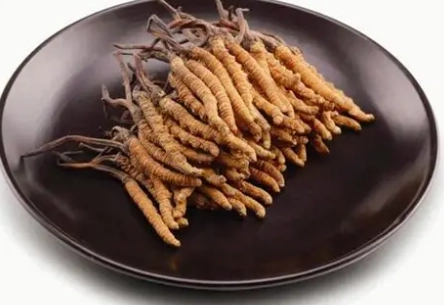 冬蟲夏草每天吃 冬蟲夏草每天吃