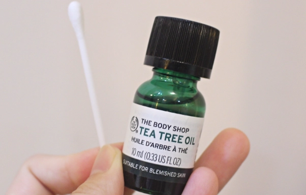 茶樹精油抗痘