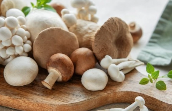 素食蛋白質來源