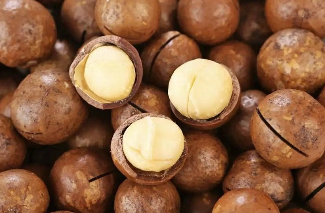 夏威夷果仁副作用