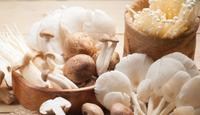 菇類營養價值